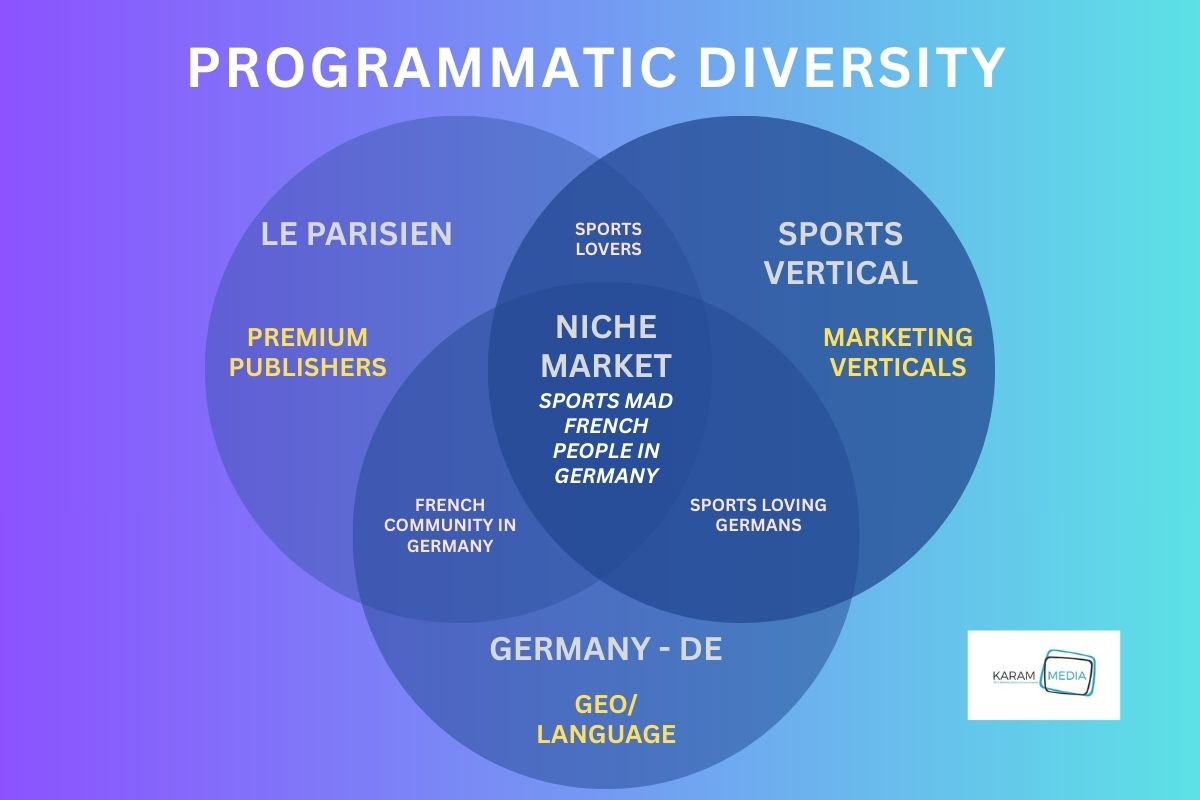 A Venn diagram explaining how a programmatic diversity SSP works